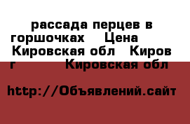 рассада перцев в горшочках. › Цена ­ 12 - Кировская обл., Киров г.  »    . Кировская обл.